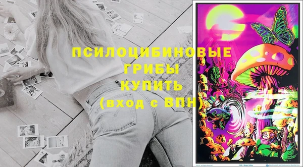 МДПВ Кинешма