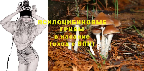 МДПВ Кинешма