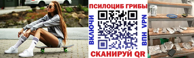 Купить закладки  Буинск  Псилоцибиновые грибы MAGIC MUSHROOMS 